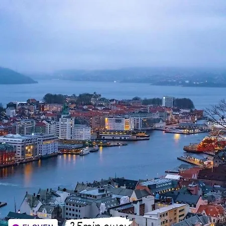 Lovely With Free Parking In Shared Bergen
